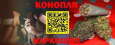прущие грибы Краснознаменск