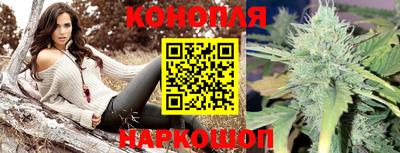 прущие грибы Краснознаменск