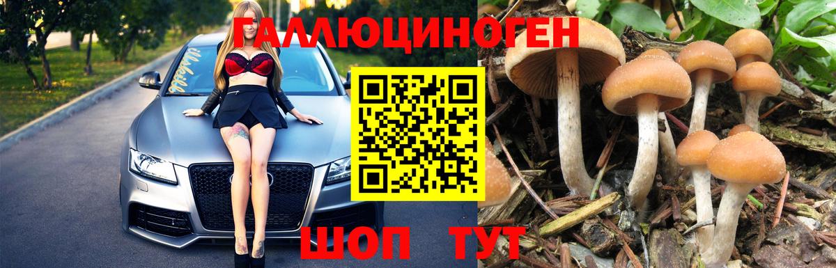 Галлюциногенные грибы Magic Shrooms Кизилюрт