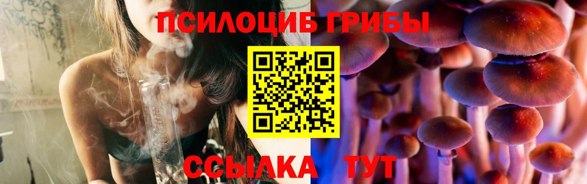 Псилоцибиновые грибы мицелий  Псилоцибиновые грибы Psilocybine cubensis  Вход с VPN  Кизилюрт 